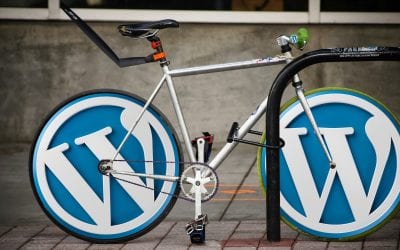 5 Reasons to choose WordPress for your business