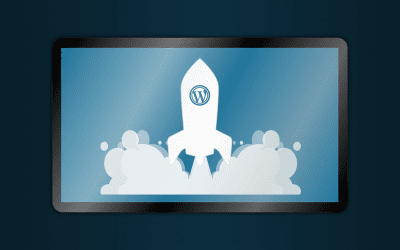 What is a WordPress Plugin?