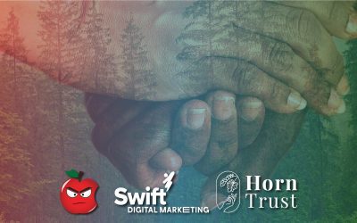 Our Digital Marketing Apprentice is having a positive effect