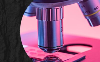 The Science of Digital Marketing: A/B Testing On Website Design (Part 2/3)