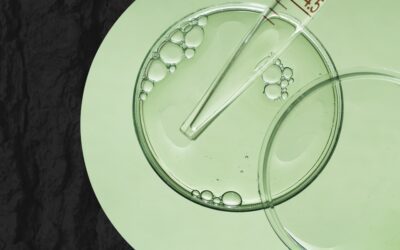 The Science of Digital Marketing: How Can A/B Testing Inform PPC? (Part 3/3)