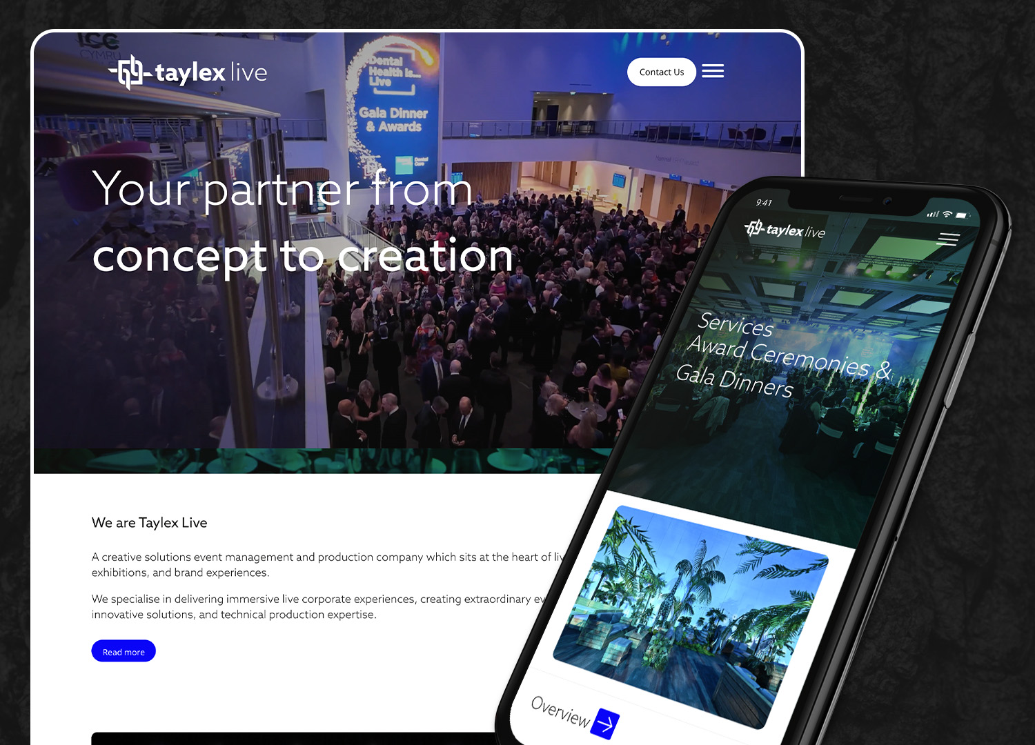 Website Design Preview - Taylex Live