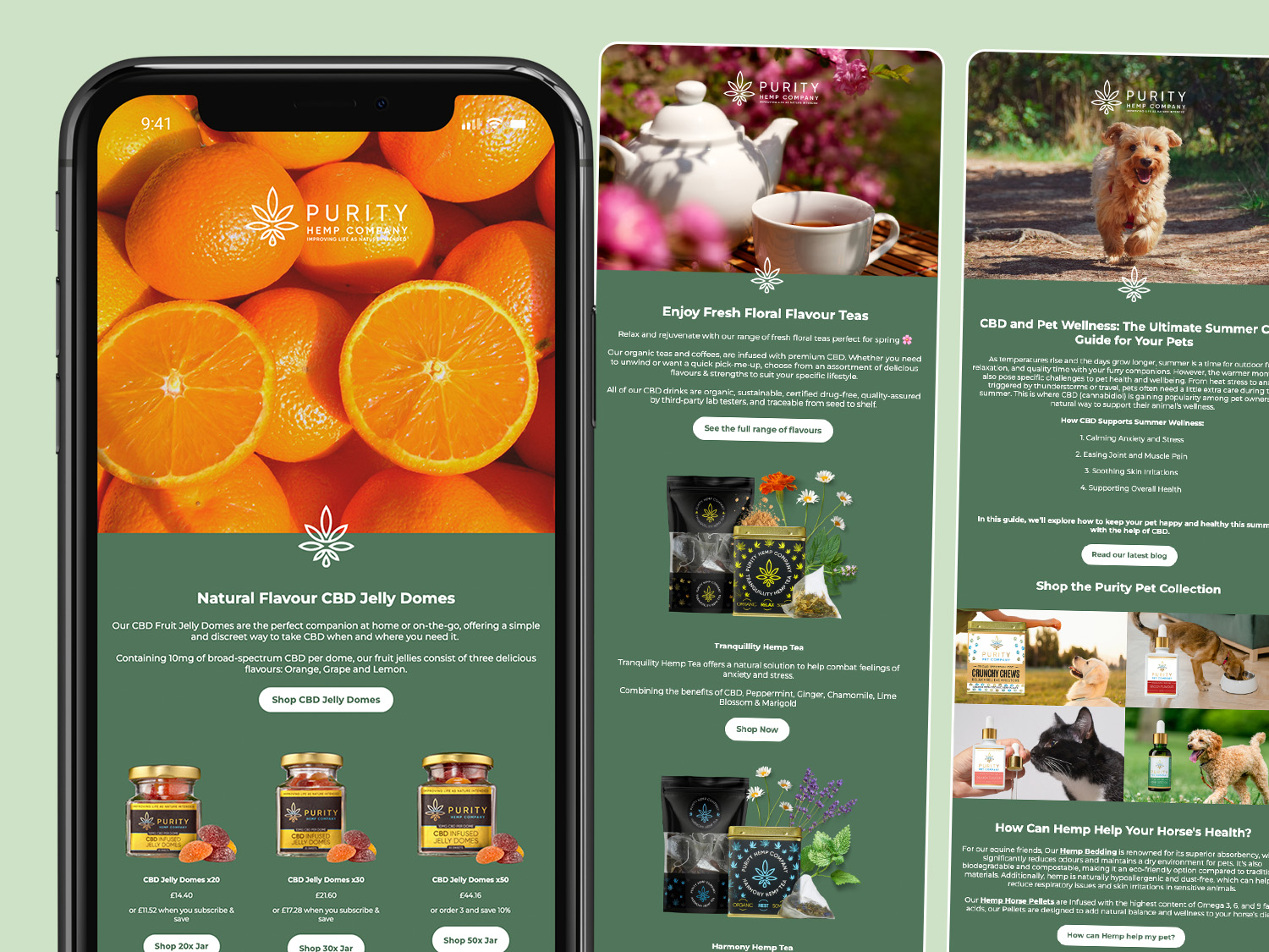 The Gables Rest Home project, website design and branding